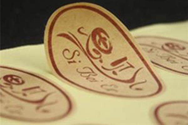泰安專業(yè)醫(yī)藥標(biāo)簽制作
